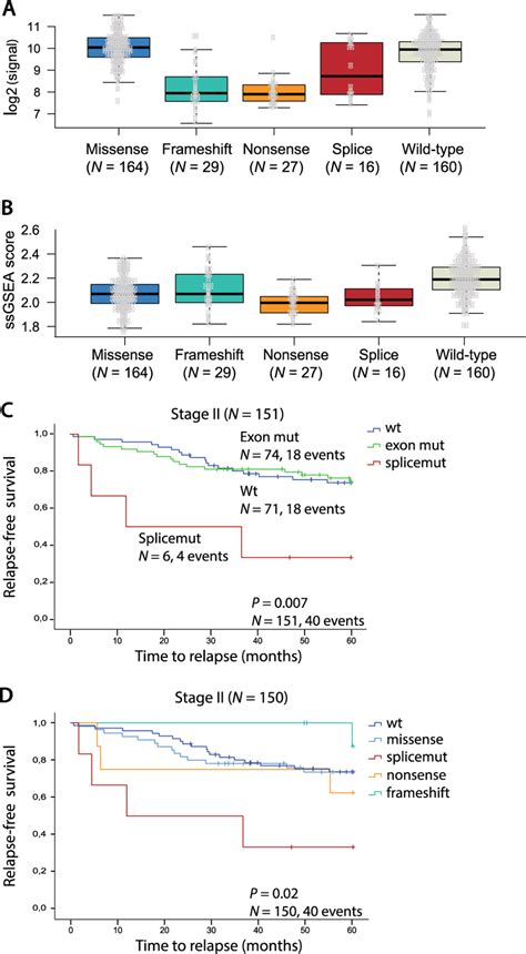 Transcriptional Consequences And Prognostic Associations Of TP53 Splice