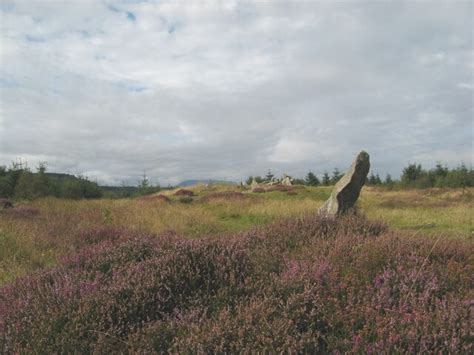 Heather And Monolith Jonathan Wilkins Geograph Britain And Ireland