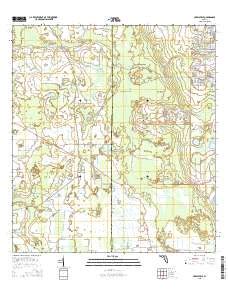 Highlands Hammock State Park Topo Map in Highlands County, Florida