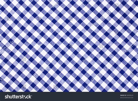 the blue checkered tablecloth