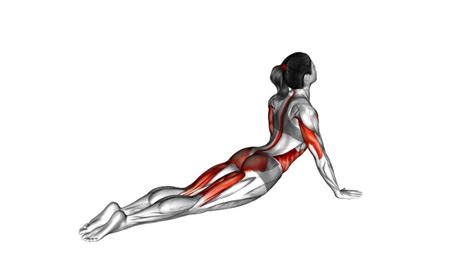 Cobra Side Ab Stretch Female Exercise Guide And Tips