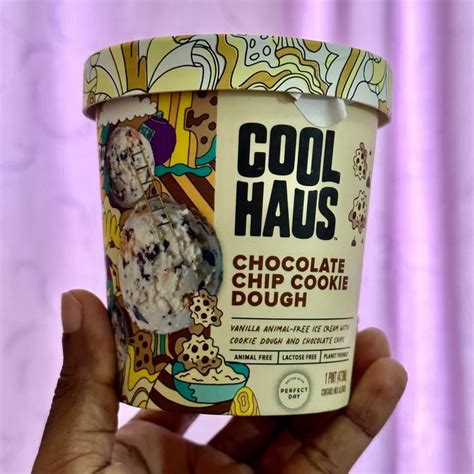 COOL HAUS Chocolate Chip Cookie Dough Ice Cream Review Abillion