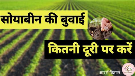 सोयाबीन की बुवाई कितने इंच पर करें Soybean Sowing लाइन से लाइन की दूरी सोयाबीन की खेती