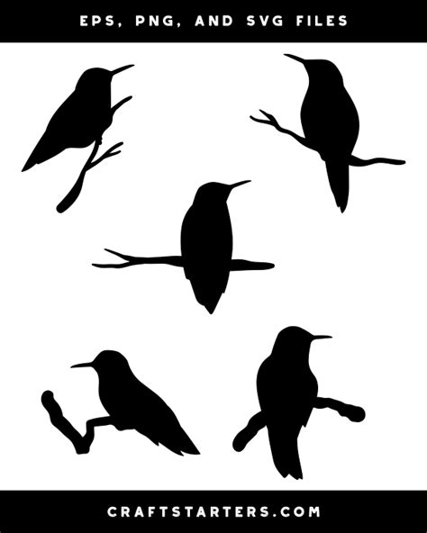 Hummingbird And Branch Silhouette Clip Art