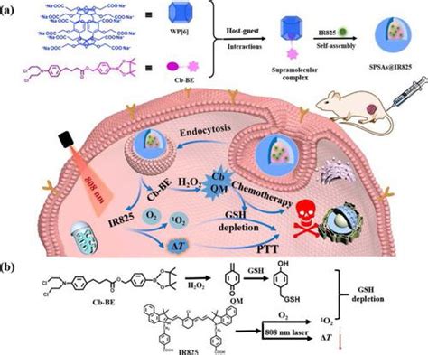 pillararene based supramolecular  assemblies   pronged gsh