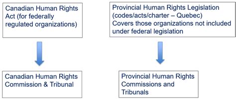 Valuing Human Rights And Diversity The Professional Institute Of The