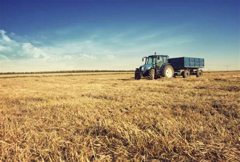 Savills Uk Uk Farmland Growth Outperforms Global Farmland Index