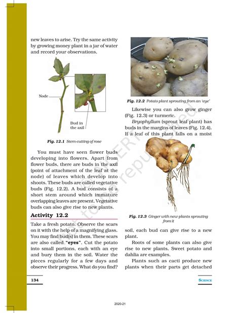 Reproduction In Plants Ncert Book Of Class 7 Science