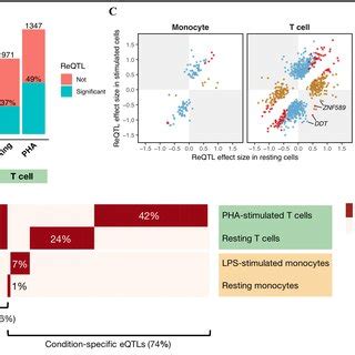 Cis EQTLs And Response EQTLs ReQTLs In Monocytes And T Cells A A