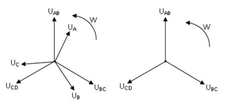 phase    triphasic exercise electrical