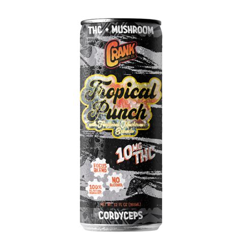 Cannabis And Mushroom Drinks Are Disrupting The Entire Beverage Industry - RYZE Superfoods