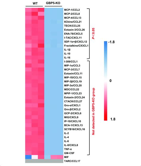 Decreased Chemokine And Cytokine Secretion In Gbp5 Knockout Thp 1