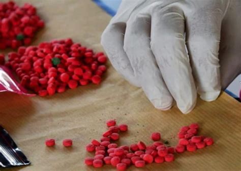 pil kuda  coli ganja  poket suami mykmunet