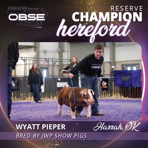 Oklahoma Bred Swine Exposition Champion Barrows The Pulse