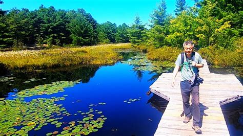 【六里长湖】 Hiking In Six Mile Lake Provincial Park Hiking Vlog Asmr Youtube