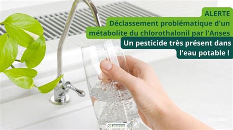 Alerte Déclassement dun métabolite du chlorothalonil par lAnses un