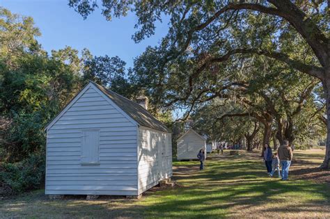 Charleston Daily Photo: McLeod Plantation