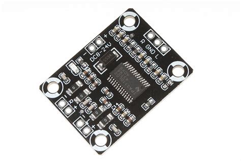 Buy Noyito Tpa Dual Channel Stereo Digital Audio Amplifier Board