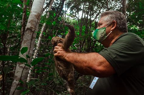 Ag Ncia De Meio Ambiente Devolve Mais De Animais Silvestres