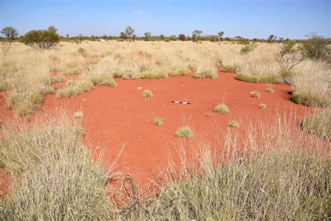 Mysterious Fairy Circles Have Been Found In Western Australia Smithsonian