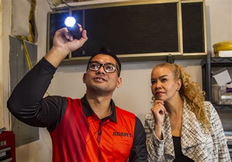 Ongoing Pest Prevention - Adam's Pest Control