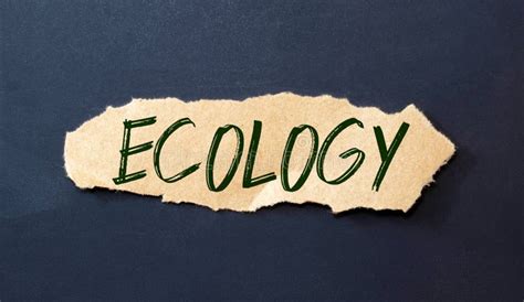 Ecology Symbol The Concept Word Ecology On Wooden Circles Beautiful