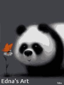 Panda Bear GIFs | Tenor