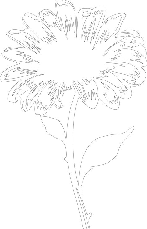 Premium Vector Gerbera Daisy Outline Silhouette White Background