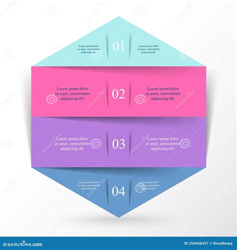 Vector Infographic Template Stock Vector Illustration Of Graphic Colorful 256968437