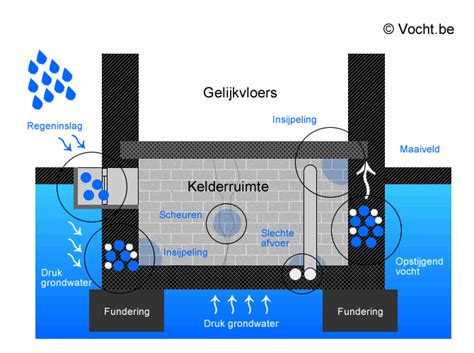 Vochtige Keldermuren Oorzaak En Oplossingen Vandaagwonen