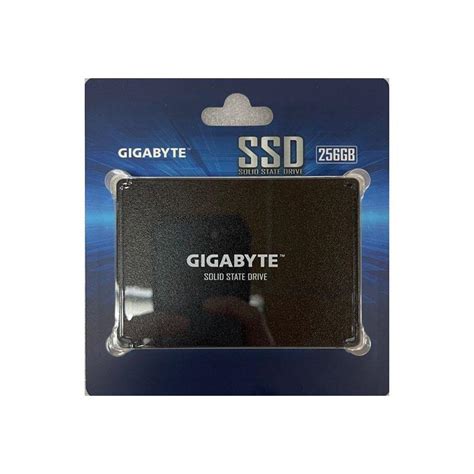 اس اس دی اینترنال GIGABYTE ظرفیت 256 گیگابایت - صدف کامپیوتر