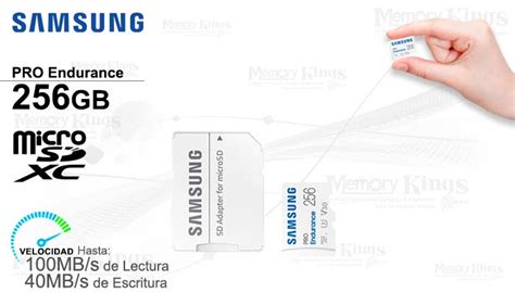 Memoria Micro Sd Gb Samsung Pro Endurance Memory Kings Lo Mejor