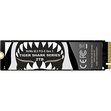 Amazon INLAND TD510 1TB PCIe 5 0 M 2 SSD Gen5 X 4 232 L 3D TLC