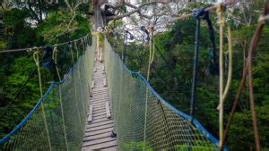 About the Tambopata National Reserve | Blog Machu Travel Peru