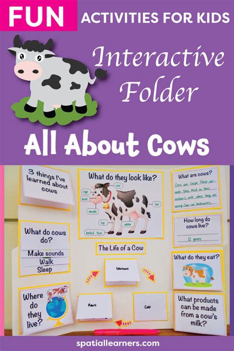 Cows | Basic Facts About Cows | Science - SPATIAL LEARNERS