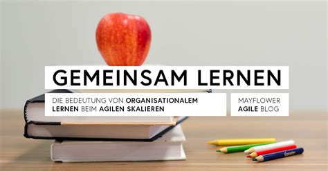 Organisationales Lernen Und Agile Skalierung Mayflower Blog