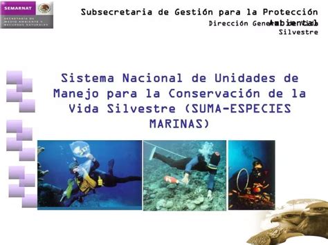 PPT Sistema Nacional de Unidades de Manejo para la Conservación de la