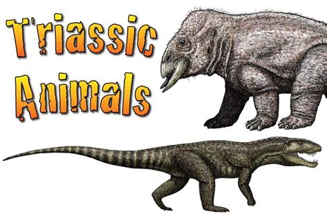 Triassic Animals Discover The Animals That Lived In The Triassic Period