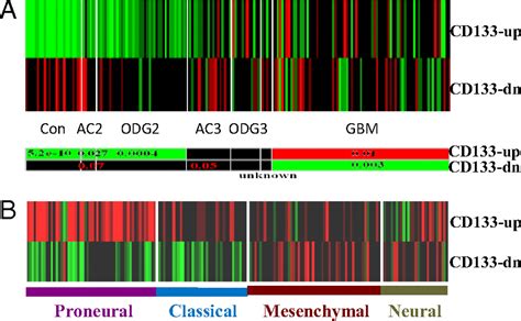 A Cd133 Related Gene Expression Signature Identifies An Aggressive