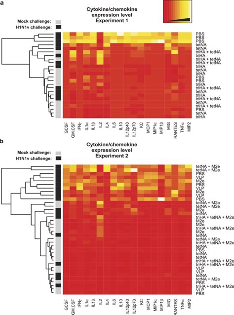 Heat Maps Representing Cytokine And Chemokine Concentrations Measured