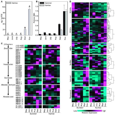 Abscisic Acid Aba Levels And Changes In Expression Patterns Of