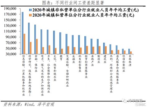 中国收入分配报告2021：现状与国际比较