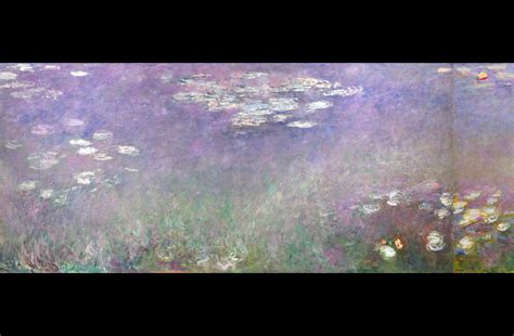 Close Look Claude Monet S Water Lilies Saint Louis Art Museum