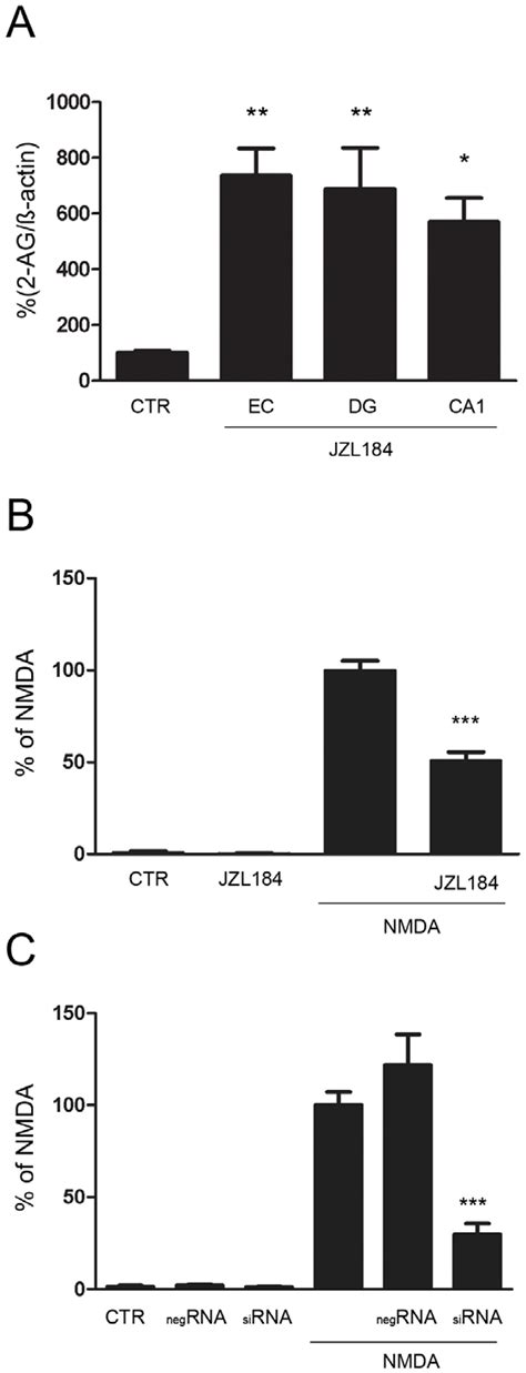 Inhibition Of Magl By Jzl184 And Sirna Exerted Neuroprotective Effects Download Scientific