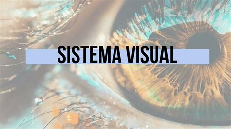 Sistema Visual Abril Sann UDocz