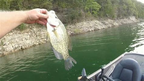 Crappie Fishing On Bull Shoals Lake YouTube