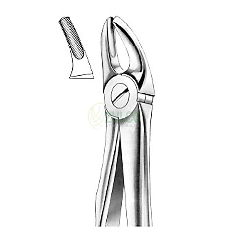 Extracting Forceps English Pattern Fig Upper Premolars