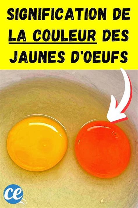 Voici La Signification De La Couleur Des Jaunes Doeufs