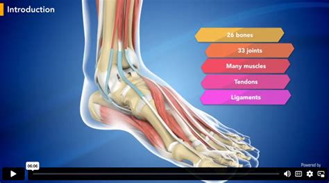 Foot Surgeons Kirkland, WA | Ankle Surgeon Kirkland, WA