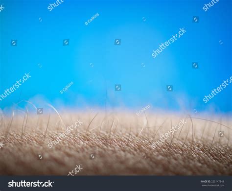 Goose Bumps Stock Photo 225147343 : Shutterstock